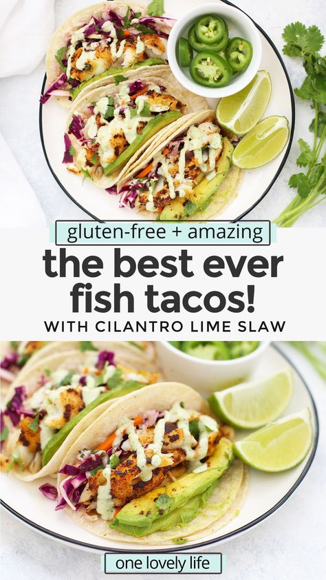 Honey Lime Slaw, Fish Slaw, Gluten Free Fish Tacos, Fish Tacos With Cabbage Slaw, Best Fish Taco Recipe, Shrimp Dinners, Cilantro Slaw, Slaw For Fish Tacos, Fish Tacos With Cabbage