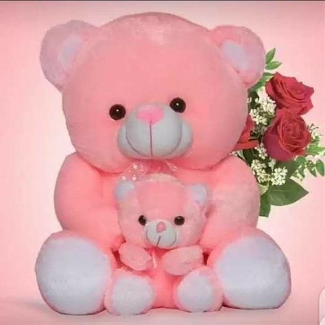 Teddy Bear Dp, टेडी बियर, Teddy Day Images, Dp Cute, Cute Teddy Bear Pics, Teddy Bear Cartoon, Big Teddy Bear, Teddy Bear Images, Big Teddy