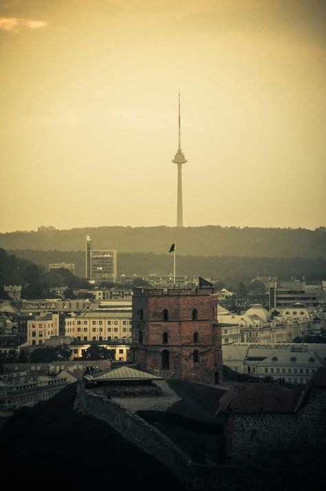 Vilnius at night Lithuanian Aesthetic, Baltic Countries, Amazing Buildings, Belarus, Capital City, Countries Of The World, Profile Pictures, Lithuania, Cn Tower