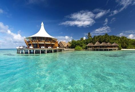 Baros Maldives, Maldives Hotel, Visit Maldives, Water Villa, Maldives Resort, Maldives Island, Resort Design, Beaches In The World, Cheap Hotels