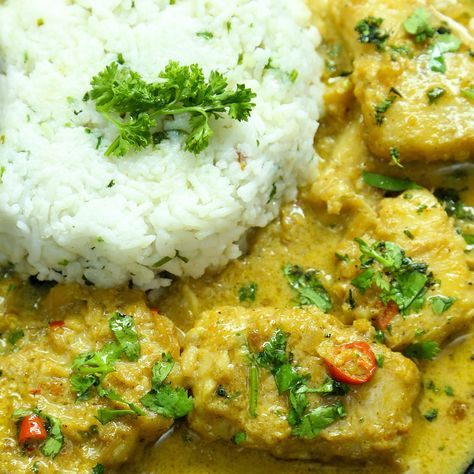 Delicious pangasius fish fillets prepared in a rich coconut and spice curry. Pangasius Fish Recipes, Pangasius Fish, Fish Fillets, Gluten Free Chili, Red Chili Flakes, Fish Recipe, Perfect Lunch, Fish Curry, Dinner Options