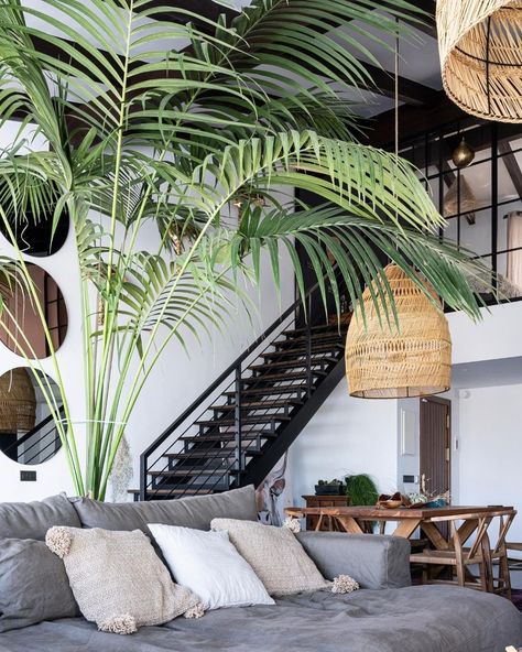 4,344 Me gusta, 51 comentarios - Zoco Home (@zocohome) en Instagram: "Accessories and a little bit of decoration are the final touches to turn every space into a home ✨…" White Spaces, Bali House, Nusa Penida, Tropical House, Tropical Houses, Style At Home, A Living Room, Tropical Vibes, Design Case