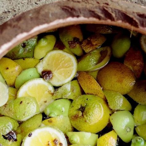 YOLA MEZCAL on Instagram: "GUAVA PINEAPPLE MANDARIN To make our Pechuga, we use seasonal citrus fruit like orange, tangerine, lime, guava, pineapple, and tejocote. The result is a refreshing, aromatic, full-bodied mezcal, with notes of smoke and citrus that coexist in an intricate dance." Yola Mezcal, Citrus Fruit, Full Body, Pineapple, Fruit, Orange, On Instagram, Instagram, Art