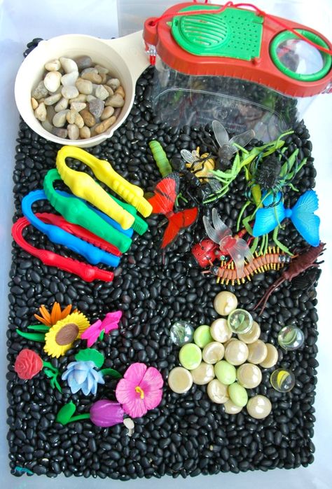 Oh, how my girls love sensory bins ! And, oh, how I love how long they keep my girls occupied! This insect sensory bin for our Bu... Insect Sensory Bin, Insect Sensory, Preschool Bug Theme, Preschool Bugs, April Preschool, Preschool Sensory, Bug Activities, Insect Unit, Preschool Spring