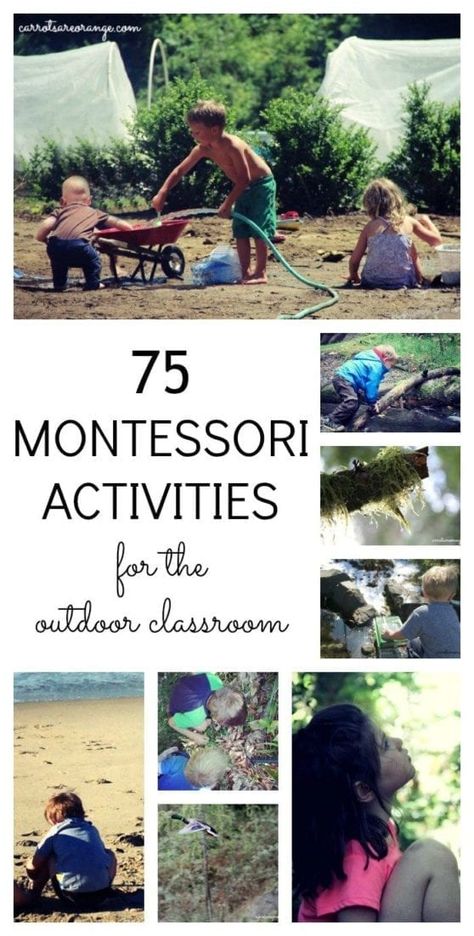 Prek Nature Activities, Lakeshore Learning Must Haves, Outdoor Nature Classroom, Outdoor Classroom Ideas, Outdoor Classroom Activities, Montessori Living, Montessori Outdoor, Outdoor Kindergarten, Forest Preschool