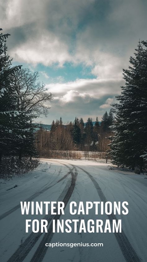 Image shows a wintery landscape with snow-covered trees and a winding path leading into the distance under a cloudy sky. The text "Winter Captions for Instagram" is prominently displayed, emphasizing the theme of seasonal captions. The scene conveys a peaceful, chilly atmosphere, perfect for inspiring captions related to winter adventures, cozy vibes, and nature. Ideal for Instagram users looking to add a poetic touch to their winter-themed posts. Snowy Day Captions, Winter Captions Instagram Posts, Snow Ig Captions, Instagram Winter Captions, Winter Captions Instagram, Winter Captions For Instagram, Winter Captions, Winter Instagram Captions, Sky Captions