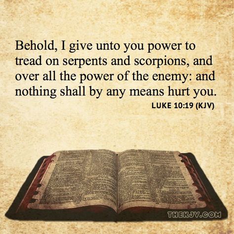 ✝✡Trust in the LORD Jesus-Yeshua  with all thine Heart✡✝ ( Luke 10:19 KJV ) “Behold, I give unto you power to tread on serpents and scorpions, and over all the power of the enemy: and nothing shall… Matthew Verses, Popular Bible Verses, Book Of Matthew, King James Bible Verses, Bible Verses Kjv, Luke 12, King James Bible, Favorite Bible Verses, The Kingdom Of God