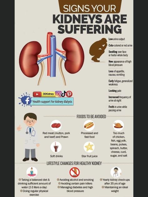 Signs Of Kidney Problems, Kidney Donor, Healthy Kidneys, Chronic Kidney, Kidney Damage, Health Signs, Test Results, Kidney Health, Doctor Visit