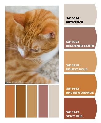 like this warm color pallet, it matches my cat...oh that's sad. Cat Color Pallete, Cat Colour Palette, Cat Colors Chart, Cat Color Palette, Cats Colors, Complimentary Colours, Paint Charts, Fancy Cats, Orange Tabby Cats