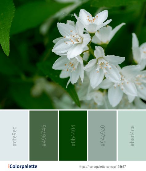 Color Palette ideas from 8848 Flower Images | iColorpalette White Flower Color Palette, Growth Color Palette, Herbal Color Palette, Lily Pad Color Palette, Lotus Flower Color Palette, Soothing Paint Colors, Logo Moodboard, Colorful Inspiration, Zen Bathroom