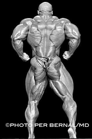 Oh Christmas tree oh Christmas tree Arnold Schwarzenegger Bodybuilding, Best Bodybuilder, Schwarzenegger Bodybuilding, Bodybuilding Pictures, Ronnie Coleman, Phil Heath, Gym Photos, Mr Olympia, Fitness Inspiration Body