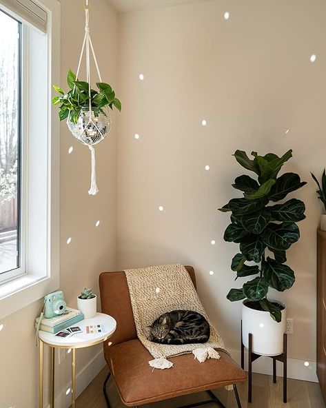 Hanging disco ball planter with cotton macrame hanger for your house plants. Home Decor, Room Decor, Patio, Boho, Bohemian, Modern, Natural, Neutral #ad Disco Ball Planter, Floor Seating Living Room, Disco Decorations, Plant Party, Glass Mirrors, Hanger Home, Girly Room, Bedroom Plants, Plastic Design