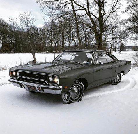 1970 Plymouth Roadrunner, 1969 Plymouth Roadrunner, Plymouth Cars, Plymouth Roadrunner, Vintage Muscle Cars, Lowrider Cars, Vintage Muscle, Classic Sports Cars, Pretty Cars