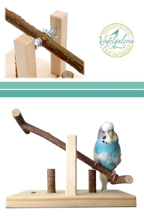 Diy Budgie Toys, Homemade Bird Toys, Diy Parrot Toys, Pet Pigeon, Budgie Cage, Cockatiel Toys, Diy Bird Cage, Bird Cage Design, Budgie Toys