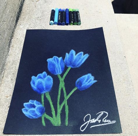 Blue tulip drawing done in oil pastels on black paper. Artist: Jade Catherine Art Blue Tulips Drawing, Pastels On Black Paper, Tulip Drawing, Design Art Drawing, Black Paper Drawing, Blue Tulips, Oil Pastel Art, Oil Pastel Drawings, Oil Pastels