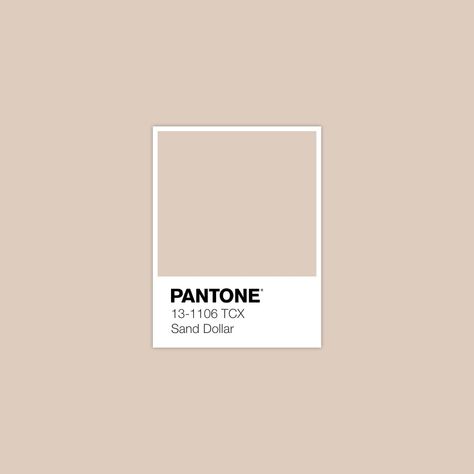 Pantone Swatches, Pantone Colours, Pantone Colour Palettes, Color Pantone, Color Reference, Pantone Colors, Colour Board, Color Swatch, Color Inspo