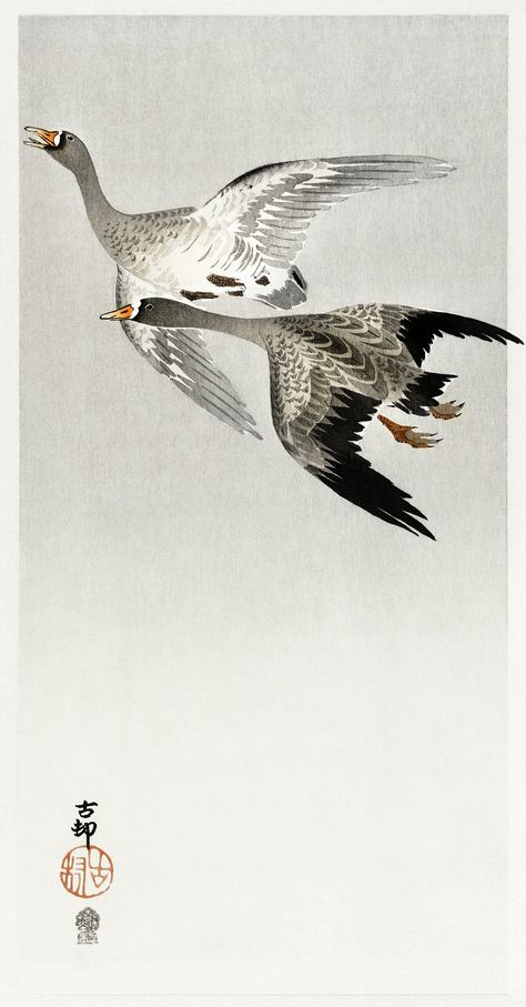 Great geese, flying in the snow (1900 - 1910) by Ohara Koson (1877-1945). Original from the Rijks Museum. Digitally enhanced by rawpixel. | free image by rawpixel.com Flying Geese Drawing, Goose Drawing, Goose Tattoo, Japanese Snow, Geese Flying, Asian Style Art, Snow Goose, About Japan, Free Illustration Images