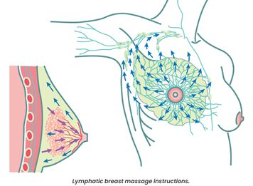 Poke Root, Izabella Wentz, Health Kit, Happy Sisters, Yerba Santa, Lymph Fluid, Grayscale Image, Liver Detoxification, Estrogen Dominance