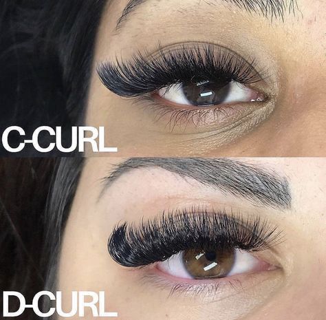 Lash Portfolio, Lash Extensions Volume, Lash Curls, Eyelash Extensions Salons, Lash Tips, Lash Training, Lash Extentions, Eyelash Extension Training, Eyelash Tips