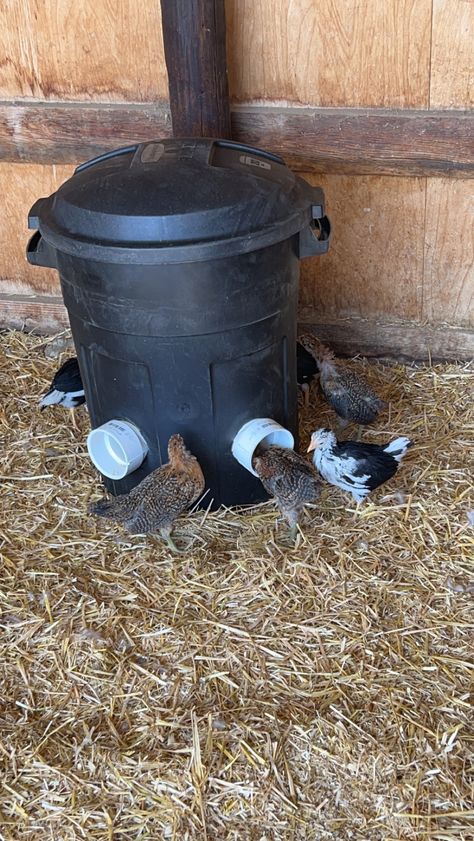 Chicken Feeding Trough, Trash Can Chicken Feeder, Chicken Feeders Diy No Waste, Homemade Chicken Feeder, Chicken Hacks, Diy Chicken Feeder, Chicken Water Feeder, Chicken Feeder Diy, Poultry Feeders