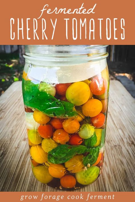 Preserve Cherry Tomatoes, Fermented Tomatoes, Fermenting Vegetables, Improving Gut Health, Fermented Vegetables Recipes, Foods For Gut Health, Lacto Fermented, Fermented Sauerkraut, Cherry Tomato Recipes