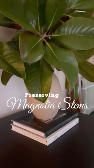 Preserving Magnolia Leaves, Magnolia Inspired Home, Colossians 3 23, Good In The World, For Seasons, World Beauty, Magnolia Leaves, Locally Grown, Favorite Flowers