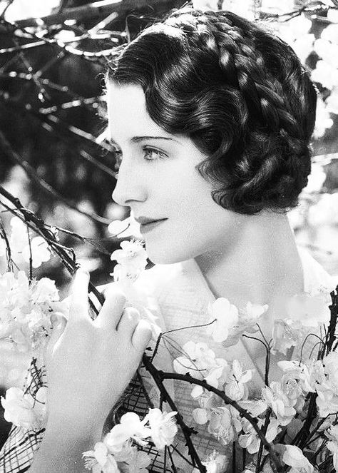 Norma Shearer 1930's Hair, Gloria Dehaven, Oc Family, Norma Shearer, Old Hollywood Actresses, Blue Garden, Romantic Movies, Favorite Actors, Old Hollywood Glamour