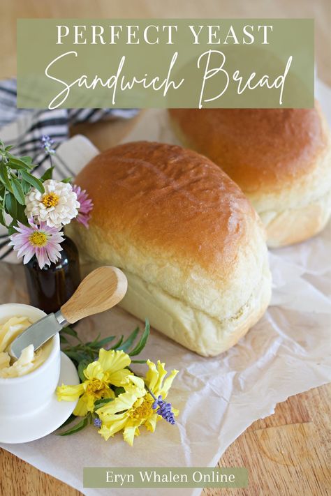 Sandwich Bread Recipe No Sugar, Unbleached Flour Bread Recipes, Easy Homemade Sandwich Bread, Sandwich Bread Recipes Homemade, Easy Bread Recipes For Beginners, Sandwhich Bread, Beginners Bread Recipe, Making Sandwiches, Homemade Sandwich Bread