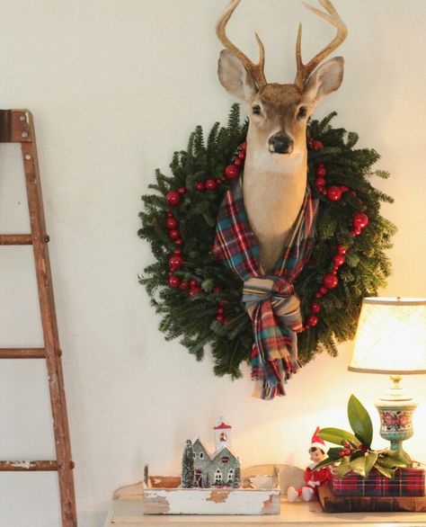 C 1934 -love her home Deer Head Decor Christmas, Den Makeover, Tartan Decor, Deer Head Decor, Antler Ideas, Home Decor Photography, Christmas Booth, Taxidermy Decor, Christmas Cabin