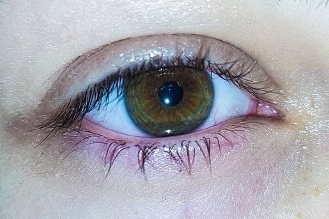 Brown Eyes With Green Rings, Central Heterochromia, Charlie Emily, Ideal Face, Hazel Green Eyes, Beautiful Eyes Color, Hazel Green, Eyes Color, New Fantasy