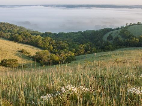 Lone Traveller, Please Picture, Grassland Biome, Hunger Games Arena, Kansas Attractions, Prairie Aesthetic, Dining Room Painting, Landscape Photography Art, Tallgrass Prairie