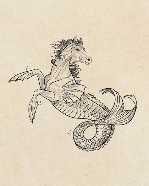 Kelpie Tattoo, Mythology Creatures, Hippocampus Tattoo, Kelpie Drawing, Artemis Sketch, Hippocampus Mythology, Hippocampus Art, Kelpie Horse, Brisbane Tattoo