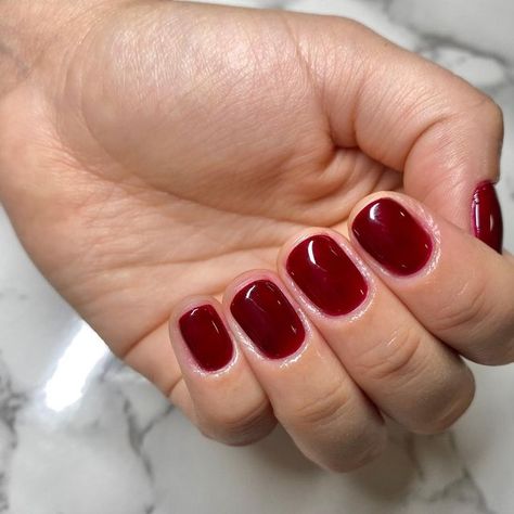 𝕂𝔼𝕀𝕃𝔸 on Instagram: "DND•478 🥀" Dnd Garnet Red, Dnd Gel Polish, Red Polish, Mani Pedi, Red Garnet, Gel Polish, Nails, Red, On Instagram