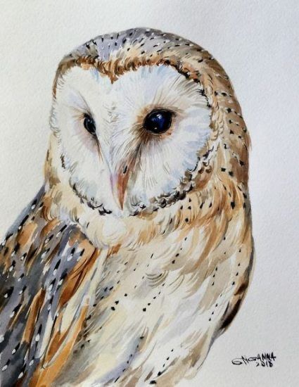 Owls Tattoo, Barn Owl Drawing, Owl Portrait, Watercolor Barns, Tattoo Bird, Barn Owls, Owl Watercolor, Bird Watercolor Paintings, Bird Watercolor