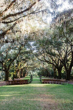 Louisiana Wedding Venues Outdoor, Mossy Oak Tree Wedding, Low Country Wedding Ideas, Louisiana Outdoor Wedding, Southern Charm Wedding Decorations, Wedding Oak Tree, Old Southern Wedding Theme, Willow Tree Wedding Decorations, Bayou Wedding Louisiana