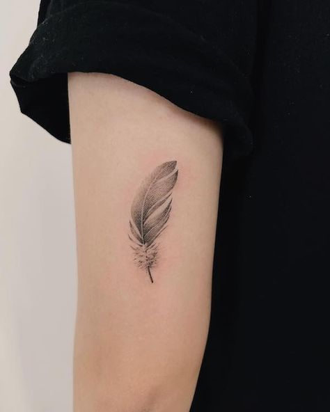 Feather With Rose Tattoo Design, White Feather Tattoos, Feather Tattoo Arm, Quill Tattoo, Small Feather Tattoo, Feather Tattoo Colour, Meaning Of Arrow Tattoo, Feather Tattoo Meaning, Feather With Birds Tattoo