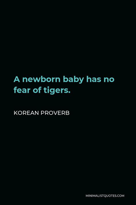 Korean Proverb - A newborn baby has no fear of tigers.| Minimalist Quotes Korean Proverbs, Physics Wallah, Russian Proverb, Zen Quotes, Great Thinkers, Minimalist Quotes, Actions Speak Louder, Proverbs Quotes, No Fear