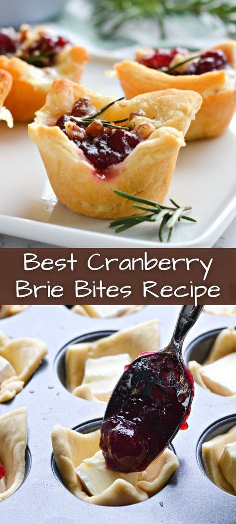 Cranberry and brie appetizers are perfect during the holiday season. This cranberry brie bites recipe is hand-held cups of crescent dough filled with creamy brie, tart/sweet cranberries, crunchy pecans, and a sprig of rosemary. Brie Appetizers, Brie Tart, Cranberry And Brie, Cranberry Appetizer, Cranberry Brie Bites, Cranberry Bites, Brie Appetizer, Cranberry Brie, Brie Bites