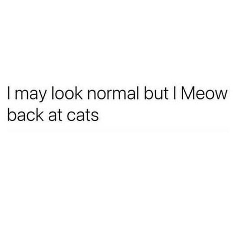 I May Look Normal But Quotes, Random Captions, Bio Captions, Citrus Logo, Funny Bio Quotes, Funny Bio, Funny Compliments, Cats Photos, 2024 Ideas