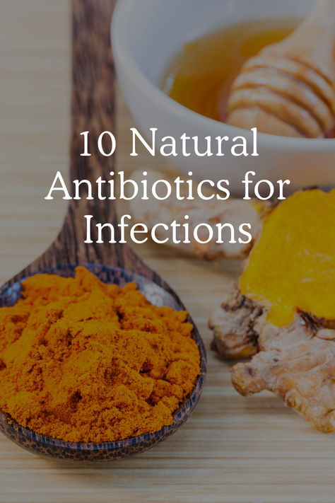 10 Natural Antibiotics for Infections Herbal Antibiotics Natural Remedies, All Natural Antibiotics, Antibacterial Foods Natural Antibiotics, Natural Remedies For Infection, All Natural Remedies, Antibiotic Essential Oil, Natural Amoxicillin, Nature's Amoxicillin, Natural Antibiotic Recipe