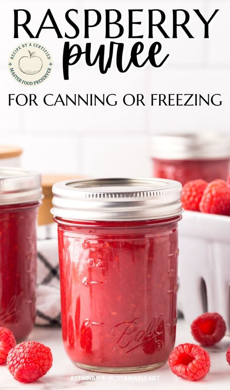 Canning Raspberry Sauce, Canning Raspberries Recipes, Raspberry Canning Recipes, Canning Raspberries, Canning Berries, Raspberry Puree Recipe, Cake And Cheesecake, Raspberry Puree, Canning Recipe