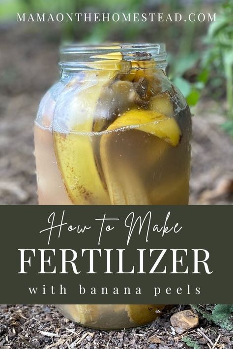 Learn to make a DIY banana peel fertilizer to improve the health of your garden, reduce waste, and make your homestead a bit more sustainable. #homesteading #homesteadgarden #gardenfertilizer #homemadefertilizer #diyfertilizer #bananapeelfertilizer #backyardgarden #gardendiy #homesteadmama #homesteadlife Banana Fertilizer How To Make, Banana Peels For Plants, Banana Fertilizer, Banana Peel Fertilizer, Home Made Fertilizer, Banana Peel Uses, Gardening Printables, Making A Compost Bin, Diy Fertilizer