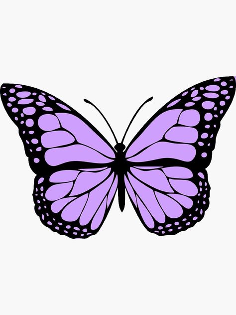 Pink Butterfly, Blue Butterfly, For Sale, Pink, Blue, White, Black