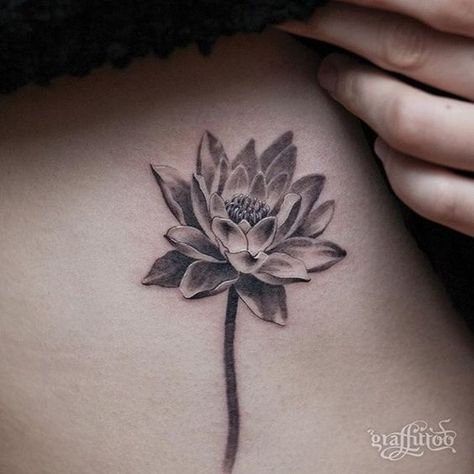 10 Beautiful Water Lily Tattoos - Tattoo.com Tattoos With Water, Elegant Back Tattoos, Waterlilly Tattoo, Lily Tattoo Sleeve, Lilly Flower Tattoo, Lily Tattoo Meaning, Larkspur Tattoo, Lily Tattoos, Water Lily Tattoos