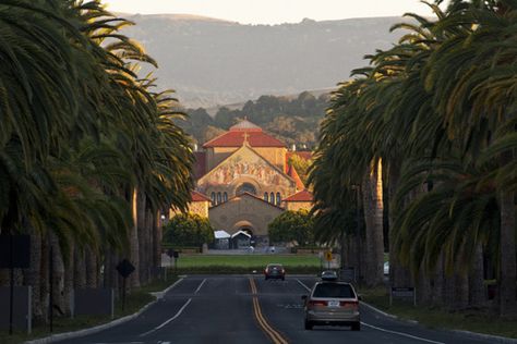 Stanford Aesthetic, Stanford California, University Inspiration, College Apps, Usa University, Basic Japanese Words, College Vision Board, Types Of Architecture, University Life