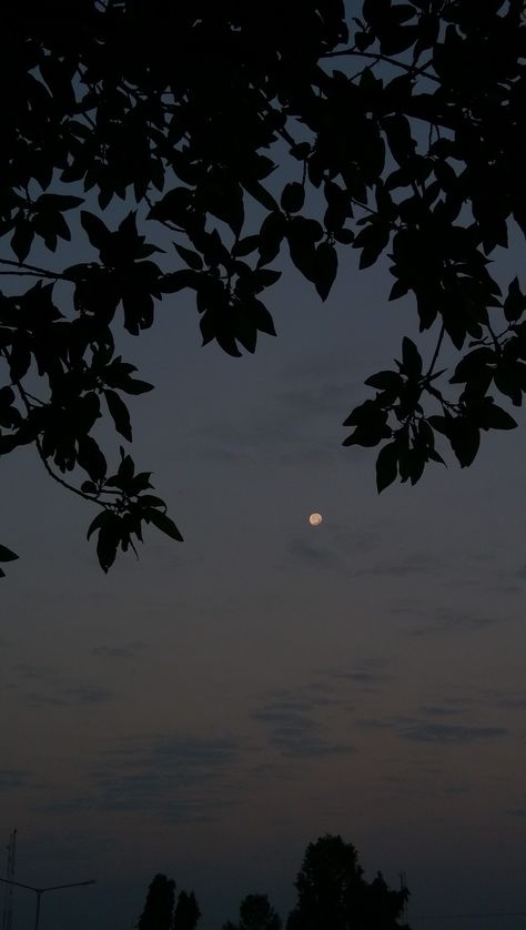 The Moon Is Beautiful, Sky Moon, Moon Pictures, Night Scenery, Moon Photography, Tumblr Wallpaper, Photography Wallpaper, Night Aesthetic, Nature Aesthetic