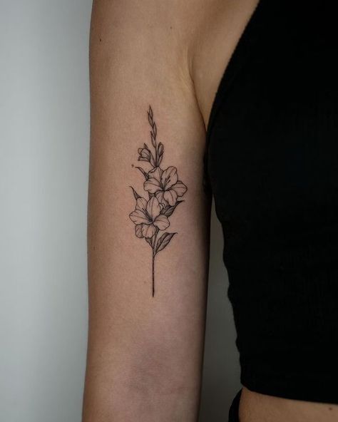 Women Flowers Tattoo, Gladiolus Flower Back Tattoo, Gladiolus Tattoo Line Art, Gladiolus Rose Tattoo, Gladiolus And Rose Flower Tattoo, Aster And Gladiolus Flower Tattoo, Gladius Tattoo Flower, Gladiolus And Aster Tattoo, Gladiolus Line Art