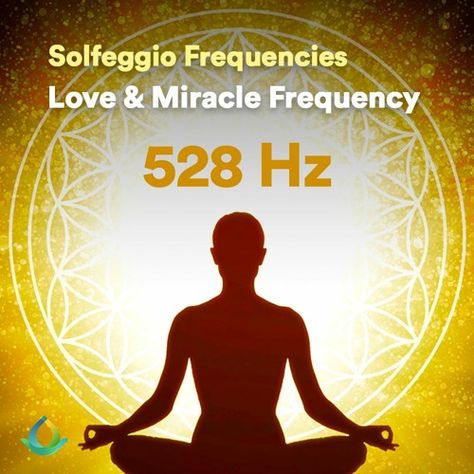 Stream 528 Hz Meditation | Love Frequency | Miracle Tone ❂ Solfeggio Frequency by Gaia Meditation | Listen online for free on SoundCloud Love Frequency, Solfeggio Frequencies, Guided Meditation, Meditation, For Free