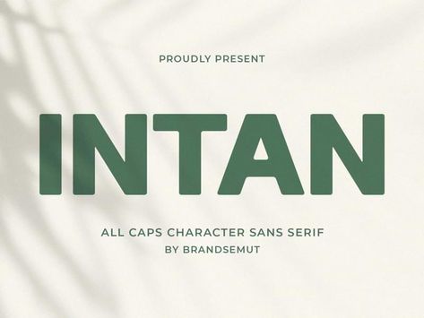 Round Sans Serif Fonts, Bold San Serif Font, Sans Serif Logotype, Humanist Font, Graphic Moodboard, Classic Sans Serif Fonts, Personal Logo Inspiration, Typography Magazine, Sans Serif Typography