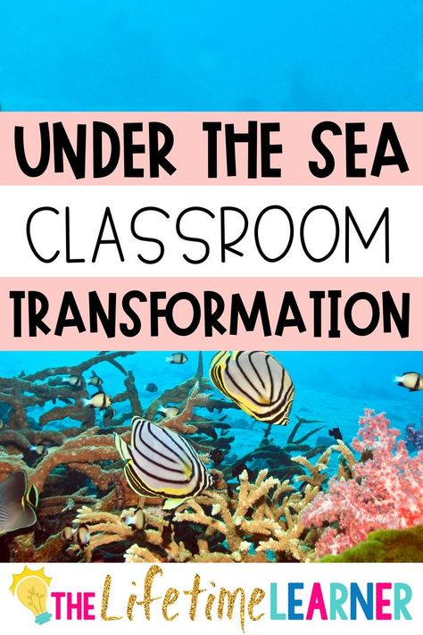 Ocean Day Classroom Transformation, Weather Classroom Transformation, Kindergarten Under The Sea Theme, Ecosystem Classroom Transformation, Wit And Wisdom 3rd Grade The Sea, Ocean Transformation Classroom, Under The Sea Kindergarten Classroom, Under The Sea Classroom Transformation, First Grade Theme Days